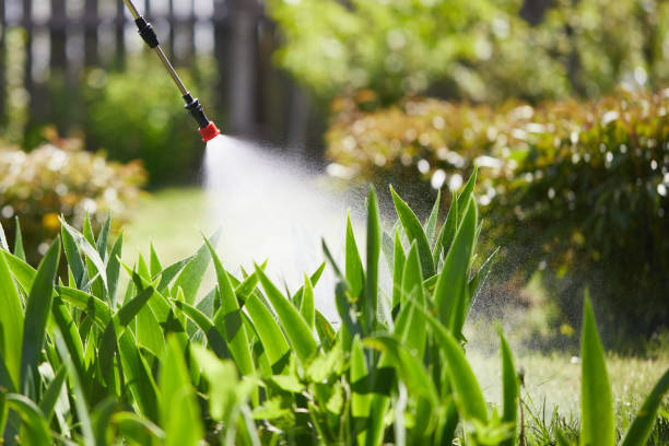 24/7 Emergency Mosquito Control experts in Vinita, OK