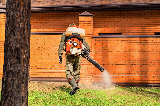 Top rated local Mosquito Control specialists in Vinita, OK
